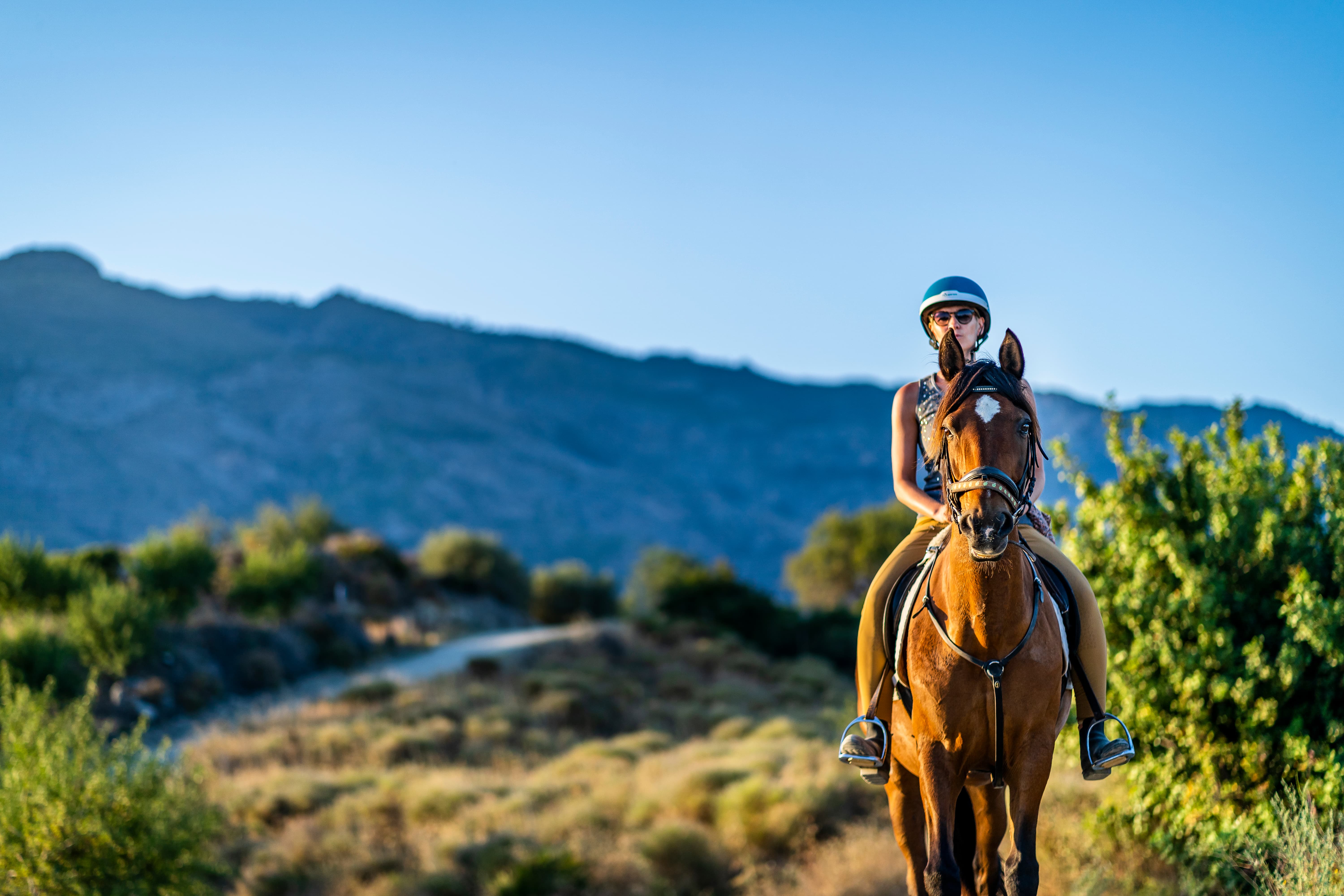Horseback riding in Marbella