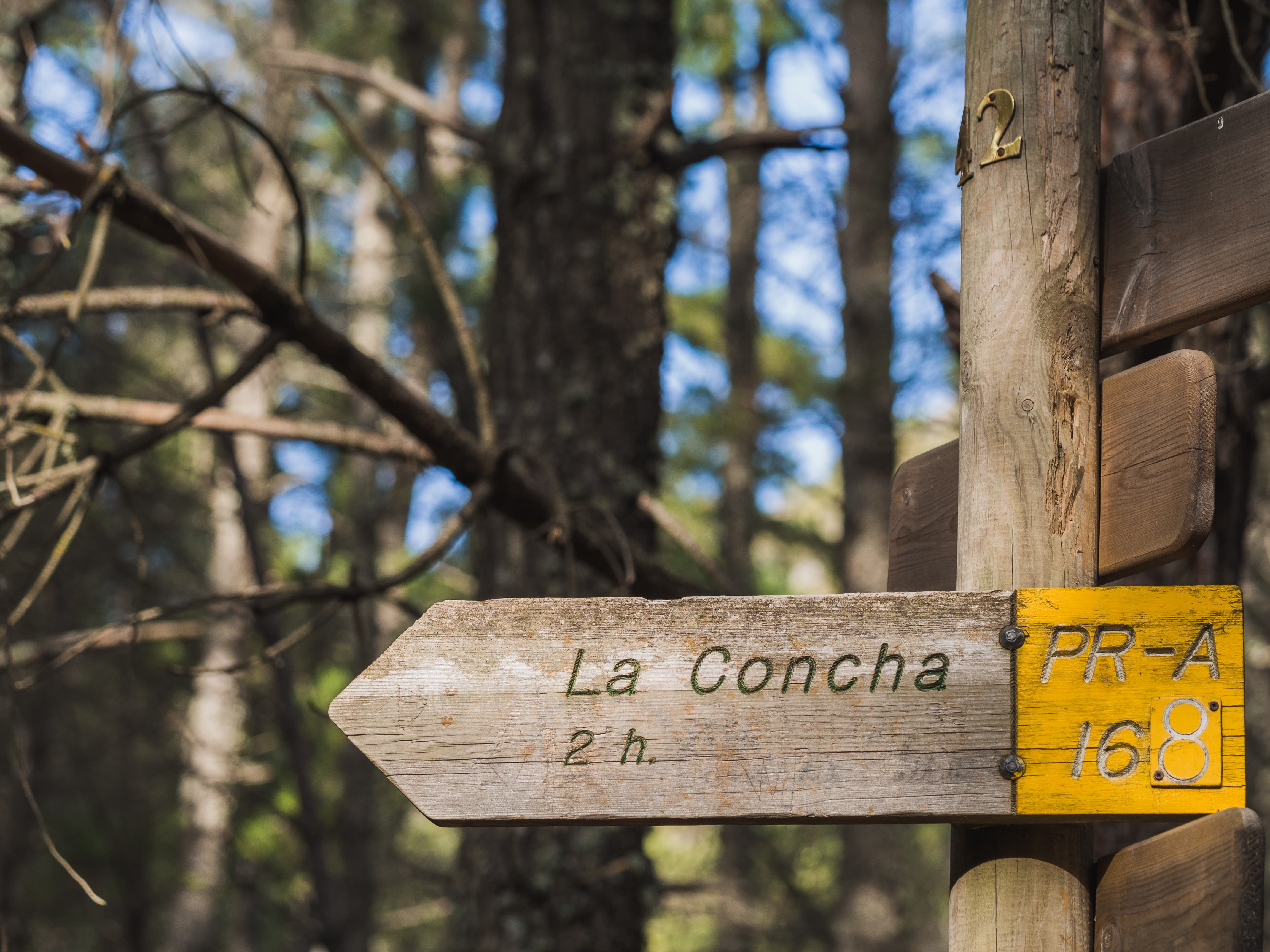 La Concha Vantage Point