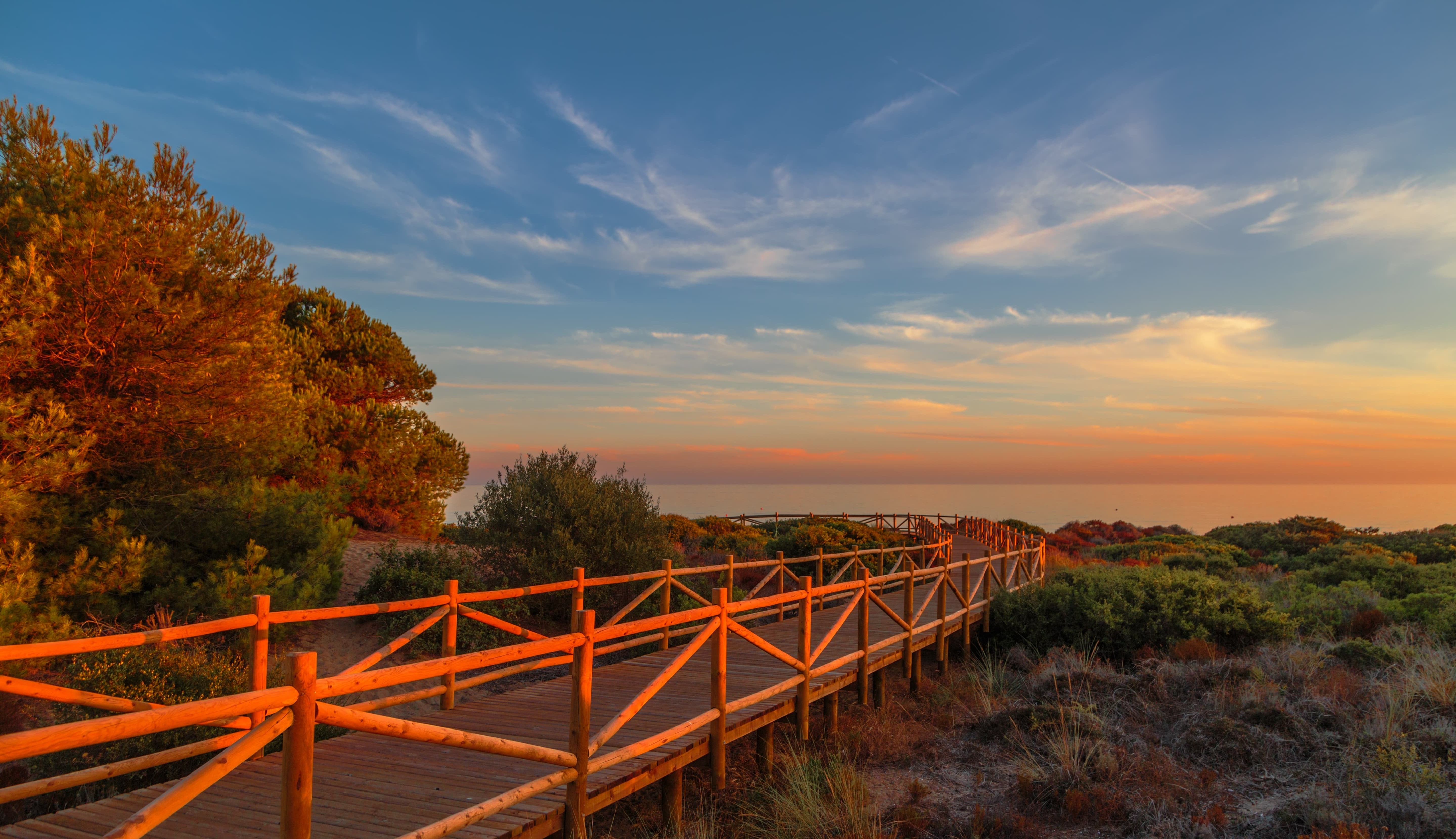 The Artola Dunes