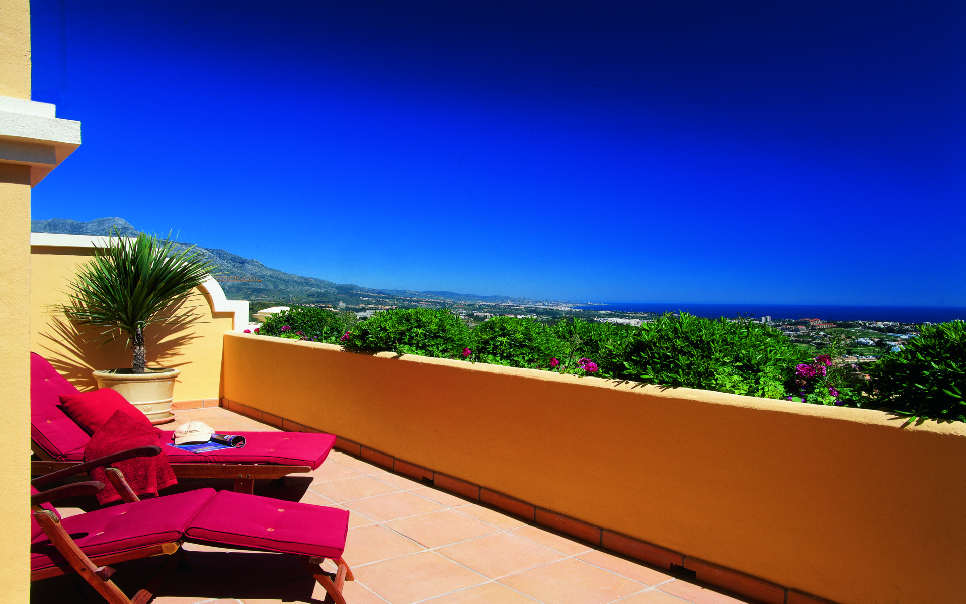 Buenavista - Terrace