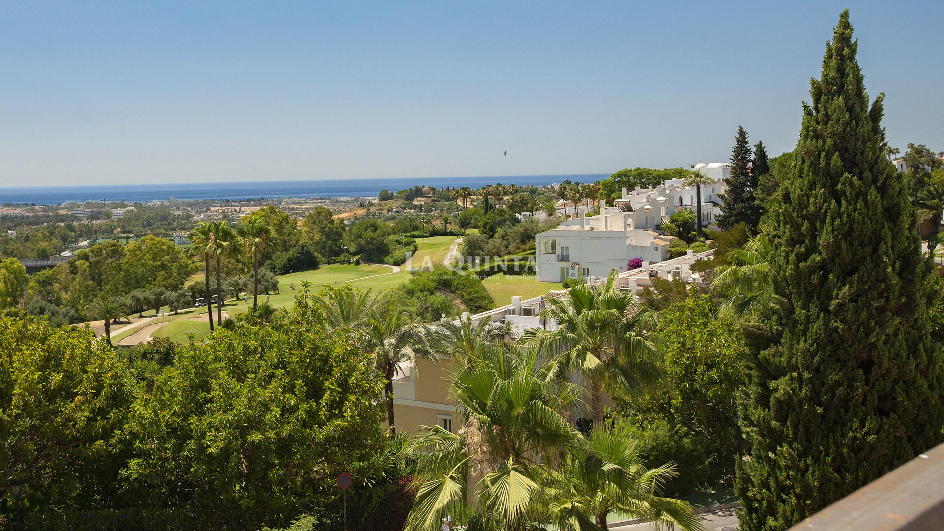 Vistas/Views
