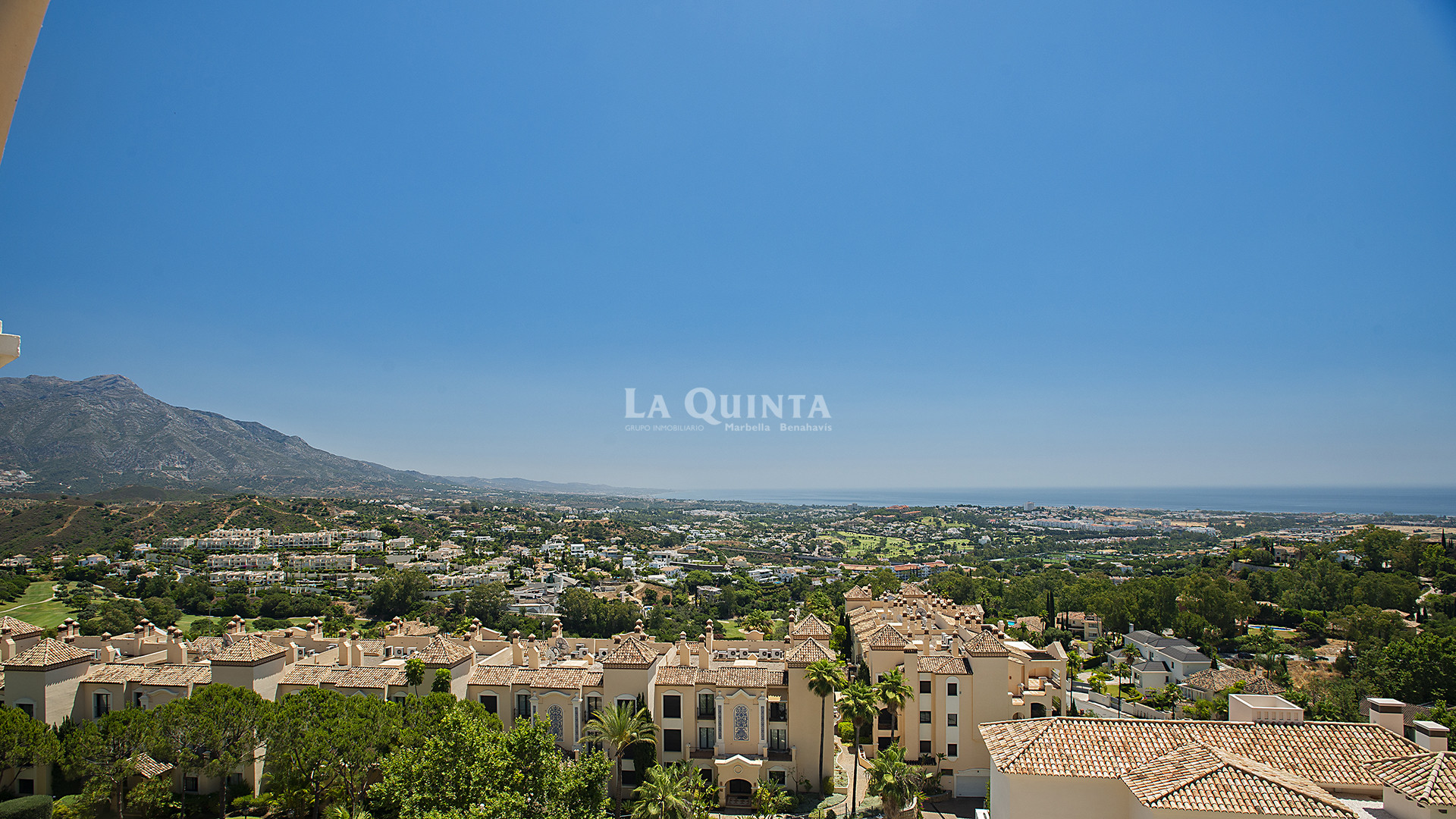 Vistas/Views