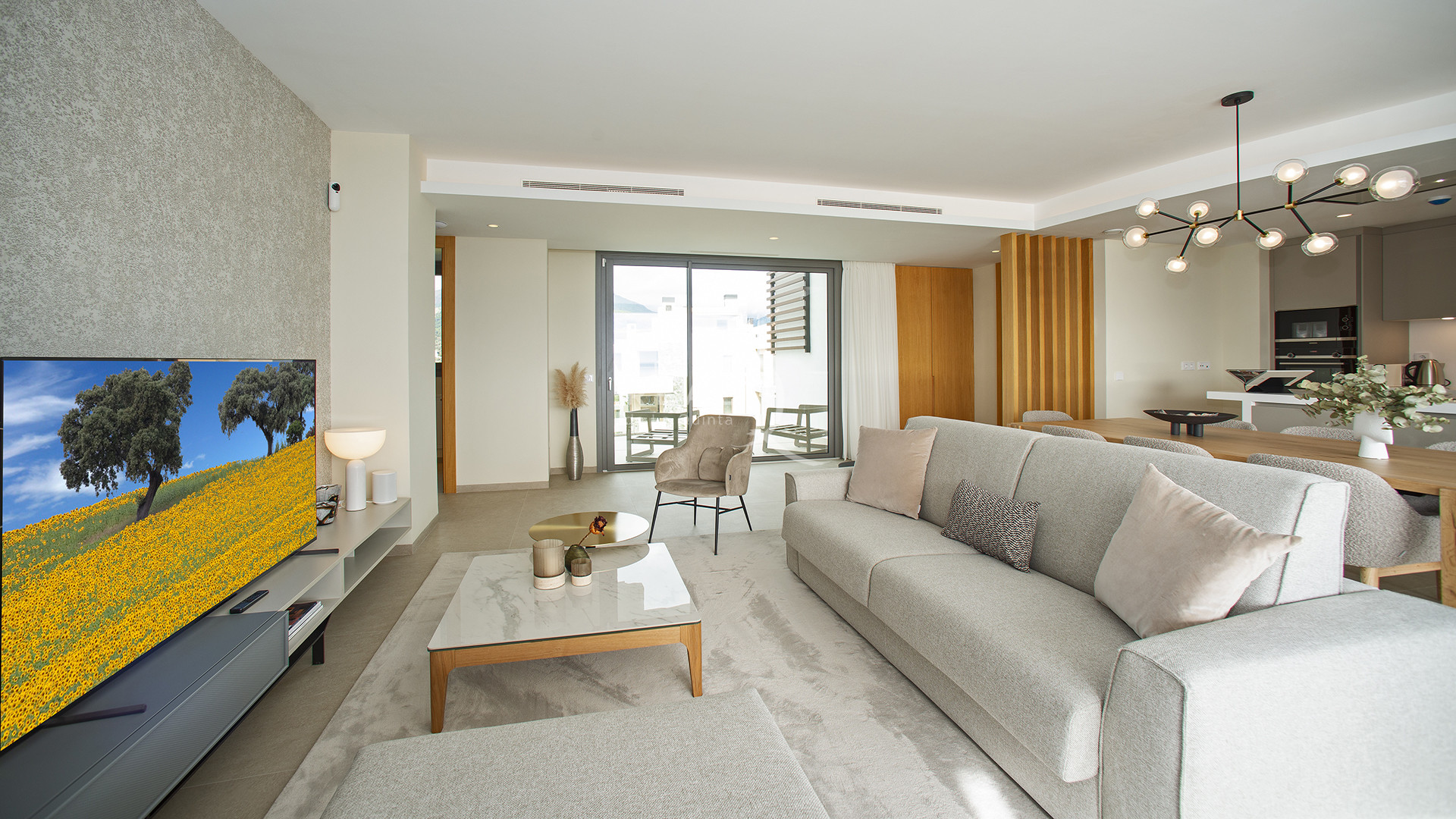 Spacious Living room