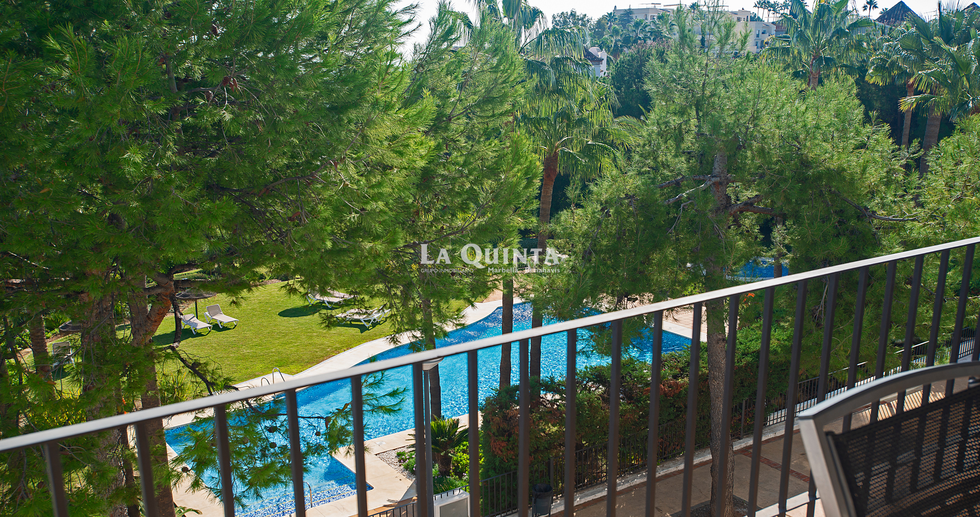 Swimming pool views