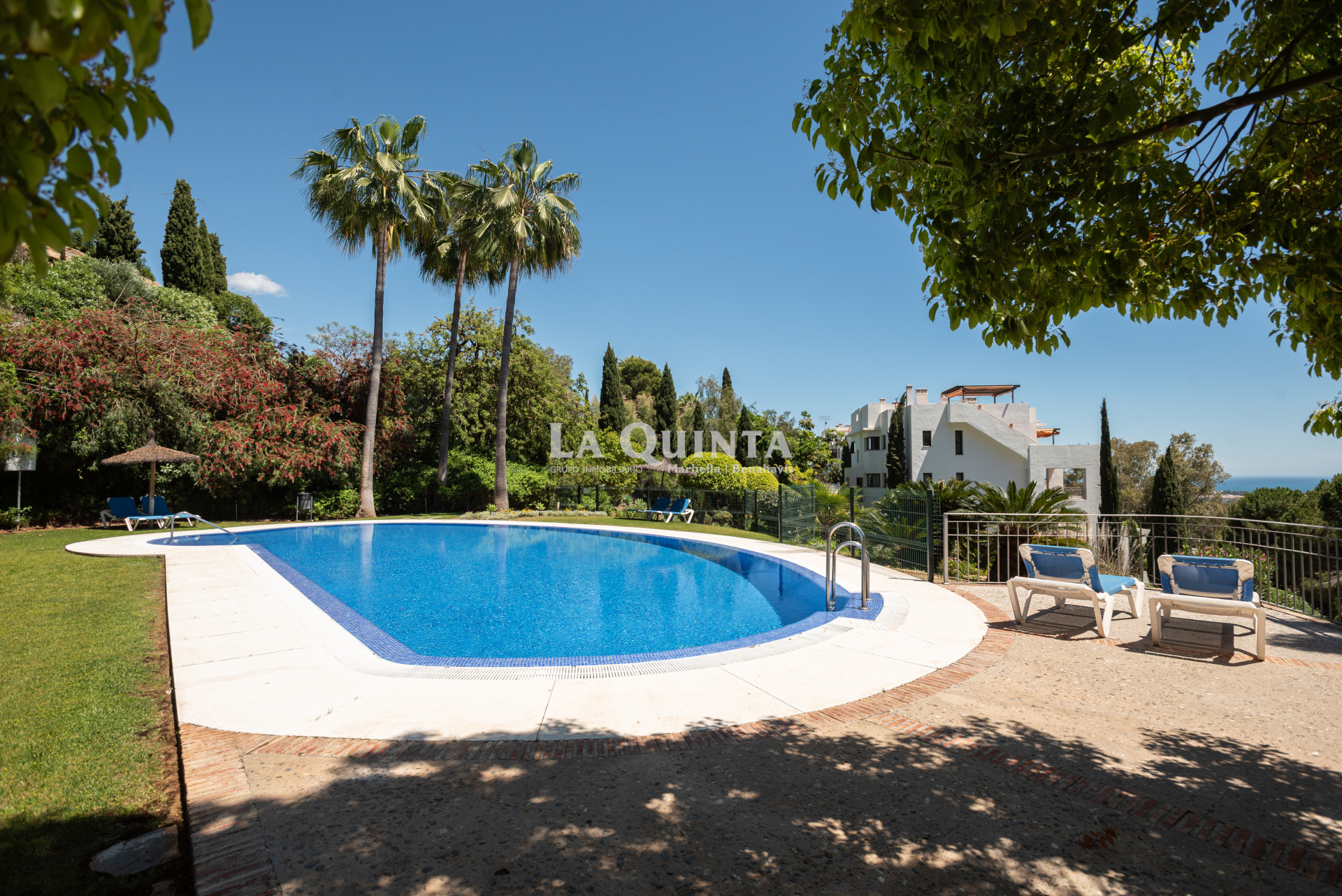 pool of the community