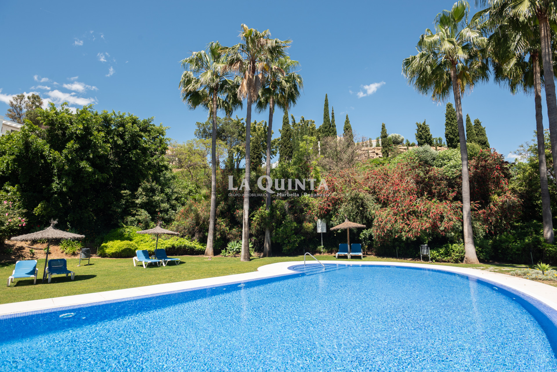 pool of the community