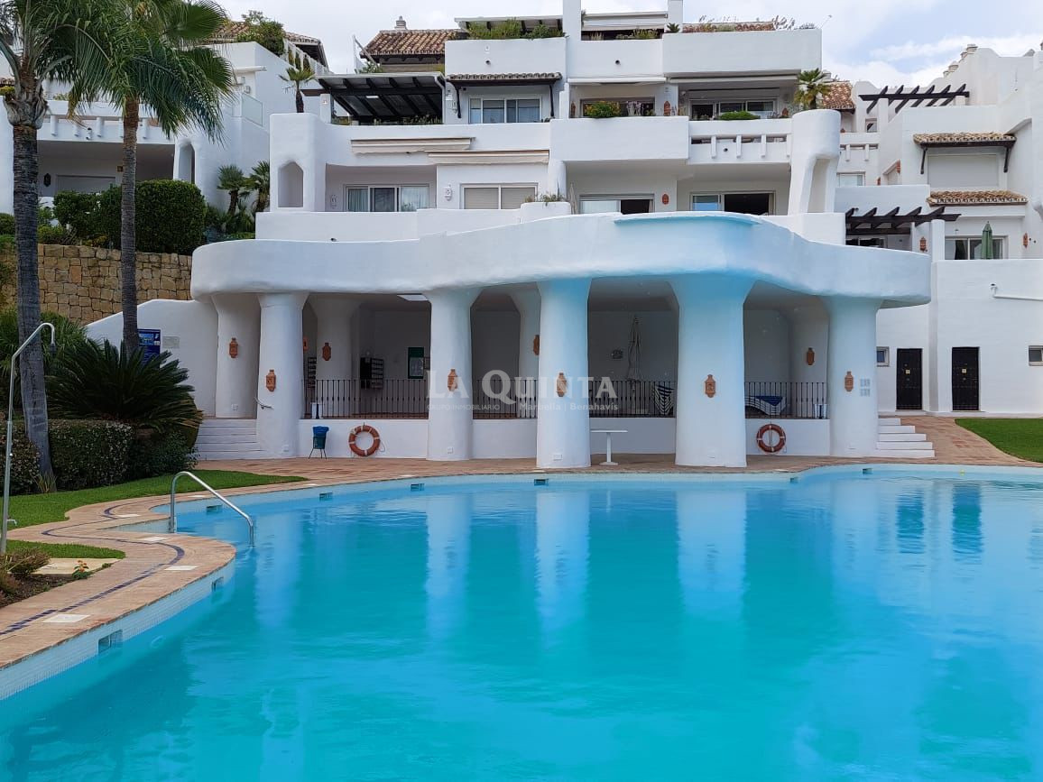 swimming pool area