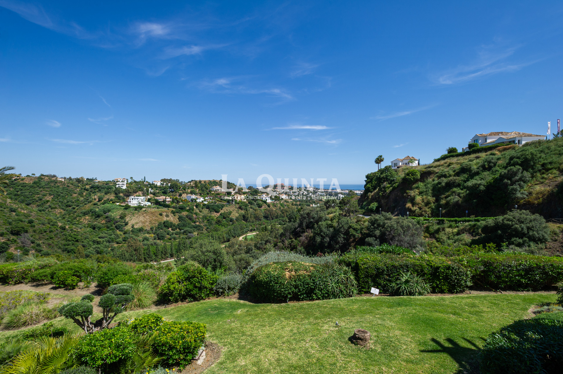 Vistas