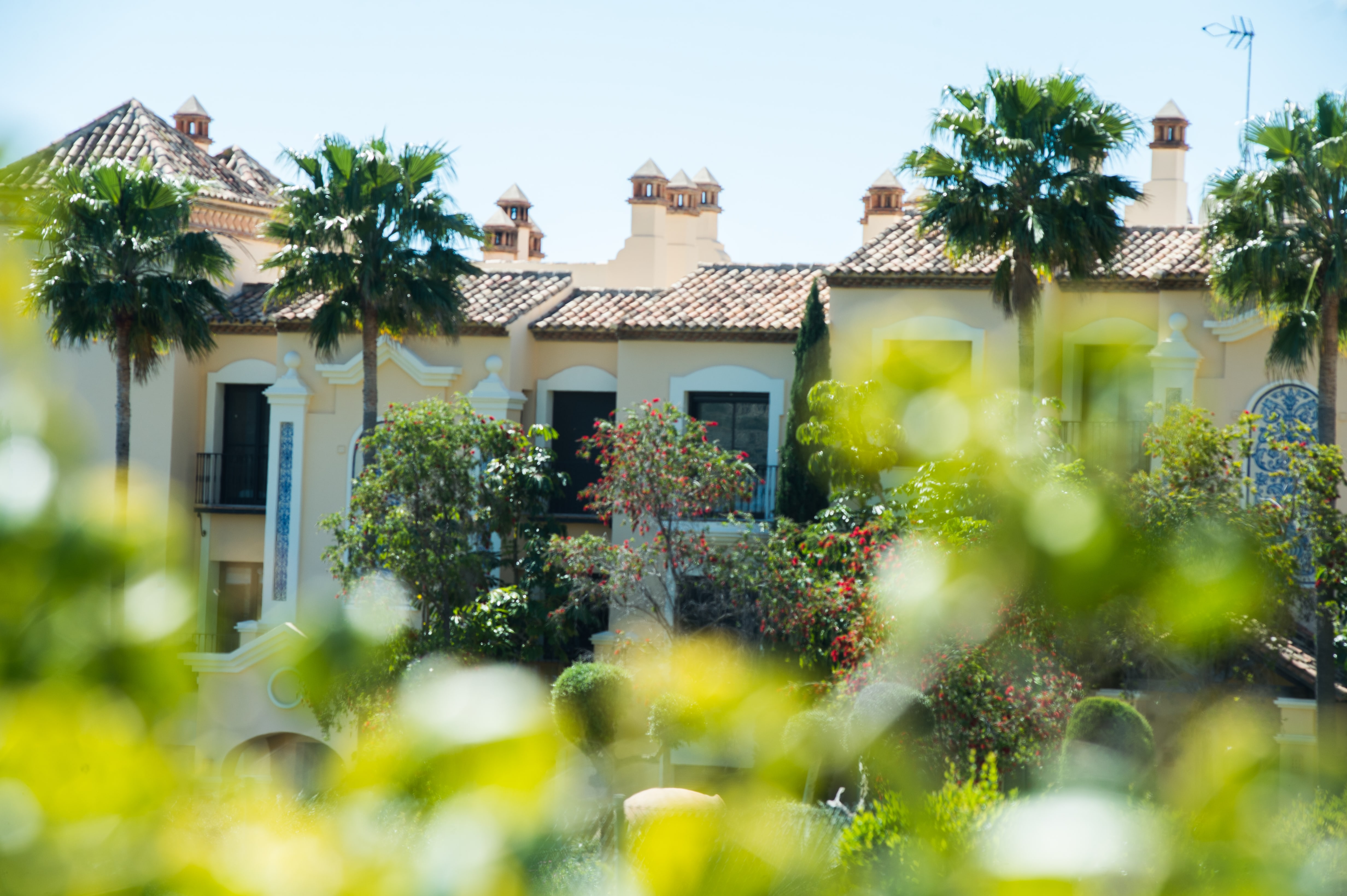 Buenavista de La Quinta